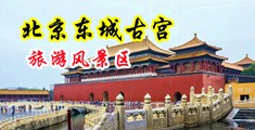 骚逼喷水视频观看中国北京-东城古宫旅游风景区